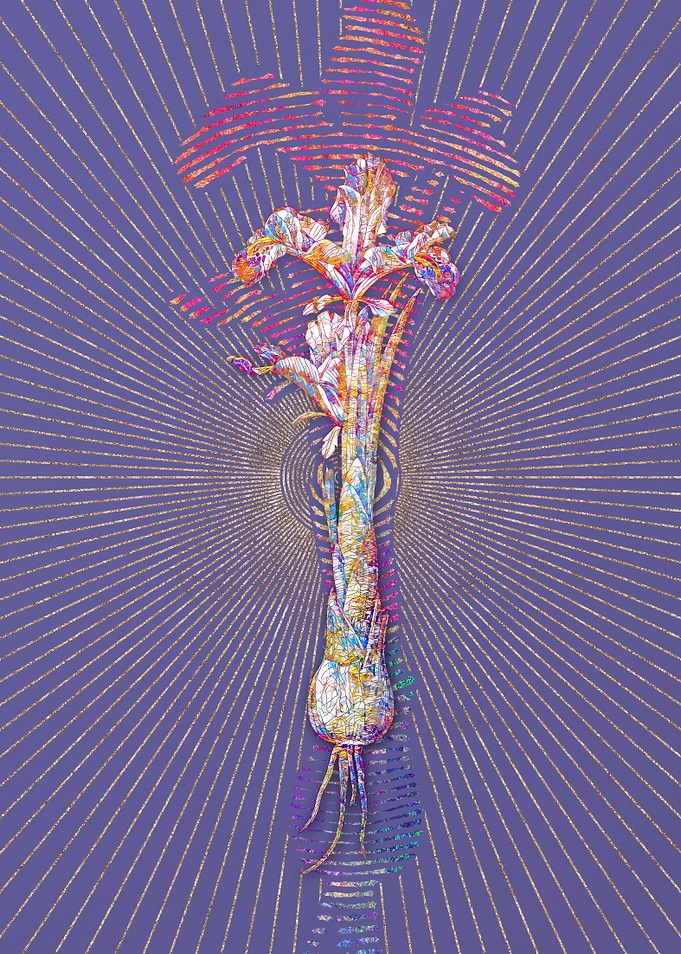 Iris Persica Mosaic Floral