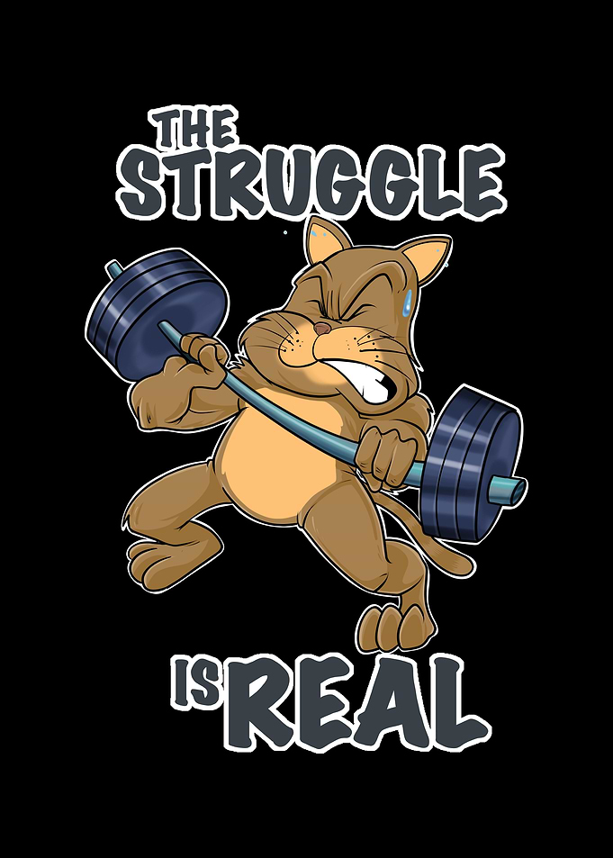 Cat Fitness Struggle
