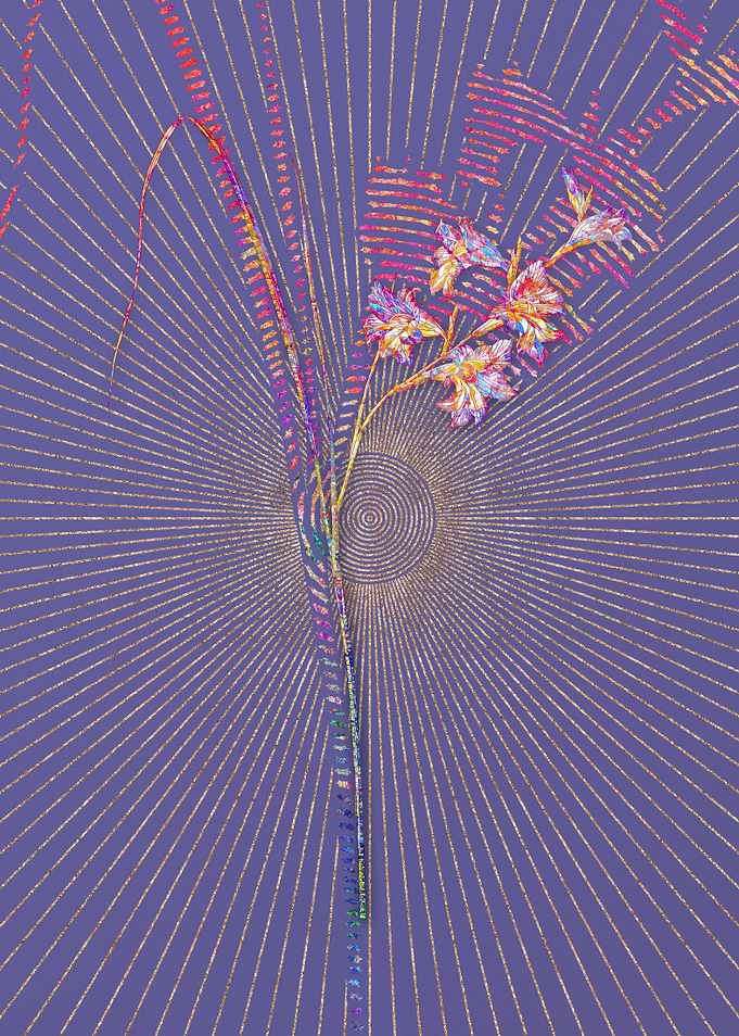 Gladiolus Ringens Mosaic