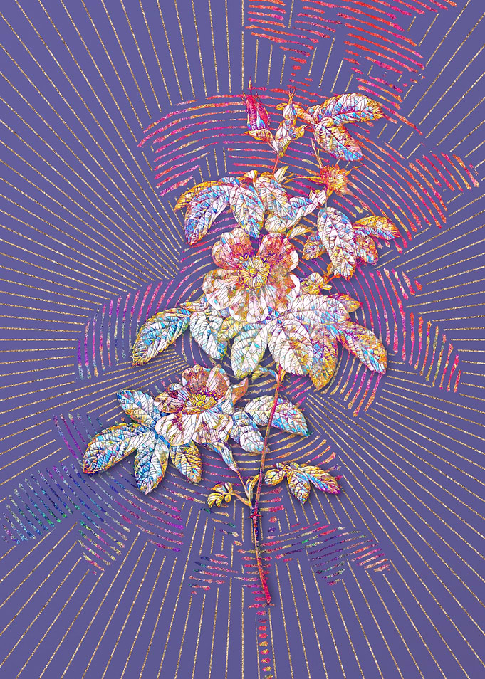 May Rose Mosaic Floral