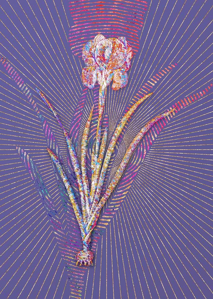 Mourning Iris Mosaic
