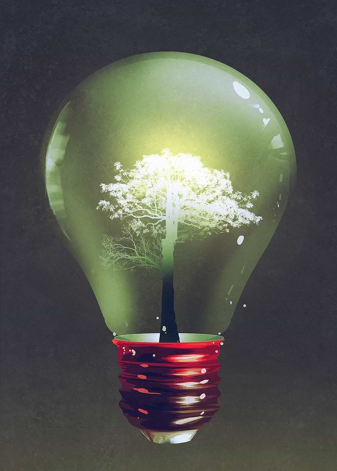 A growing idea