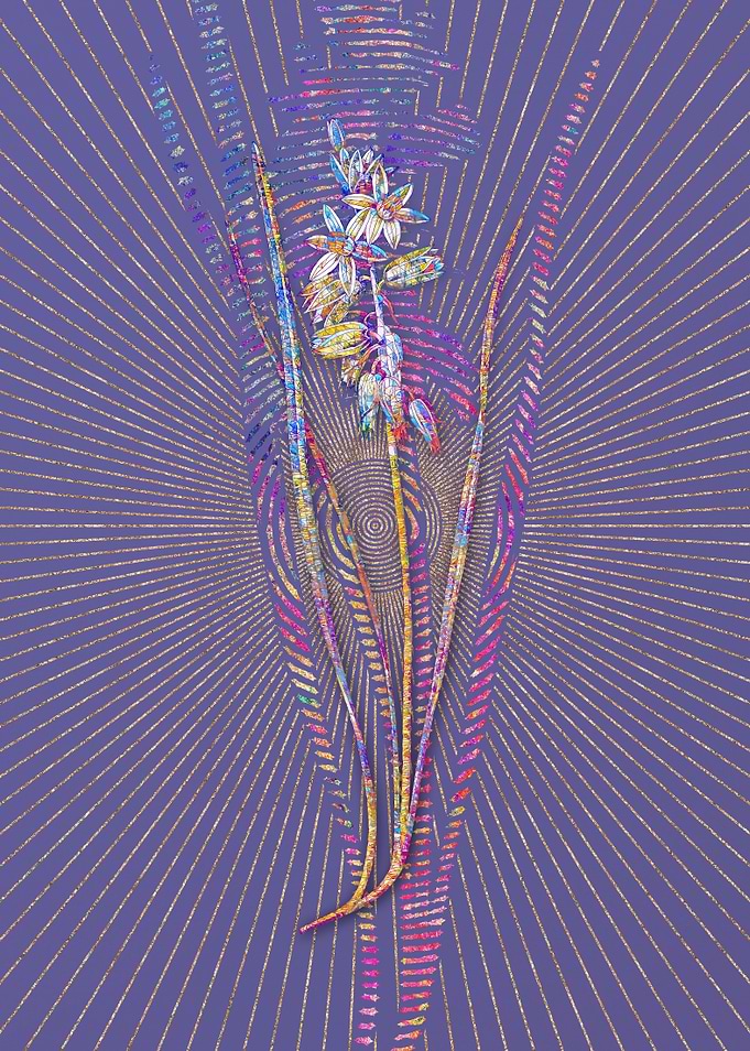 Drooping Star of Bethlehem