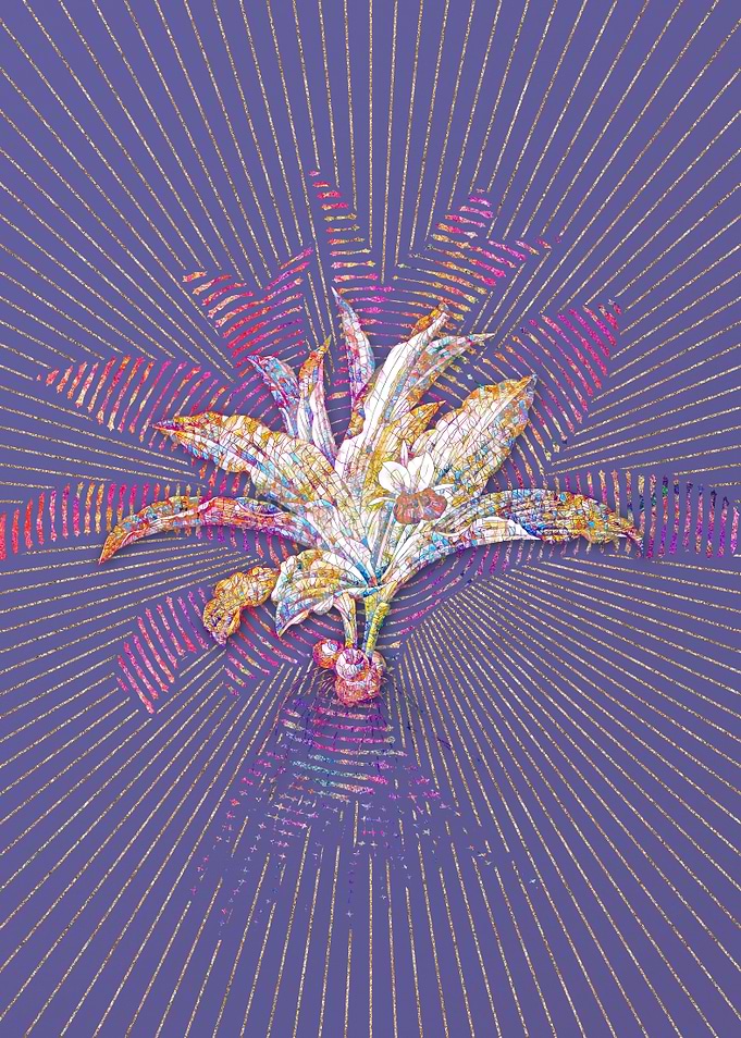 Kaempferia Angustifolia