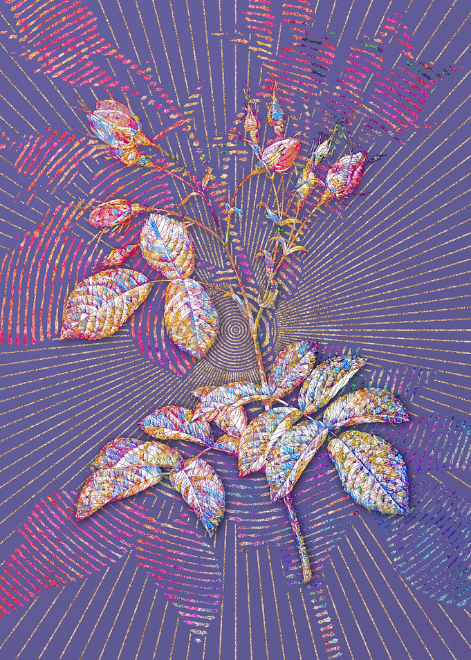 Evrats Rose Mosaic Floral