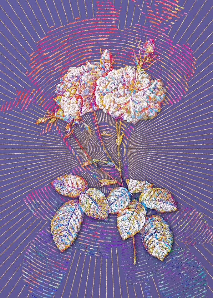 Damask Rose Mosaic Floral