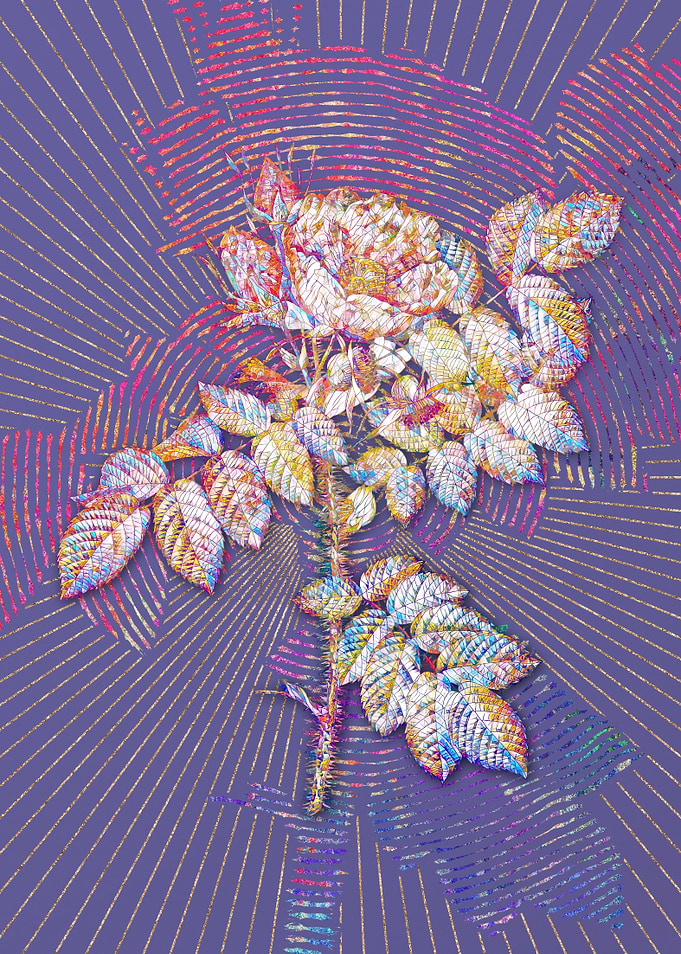 Kamtschatka Rose Mosaic