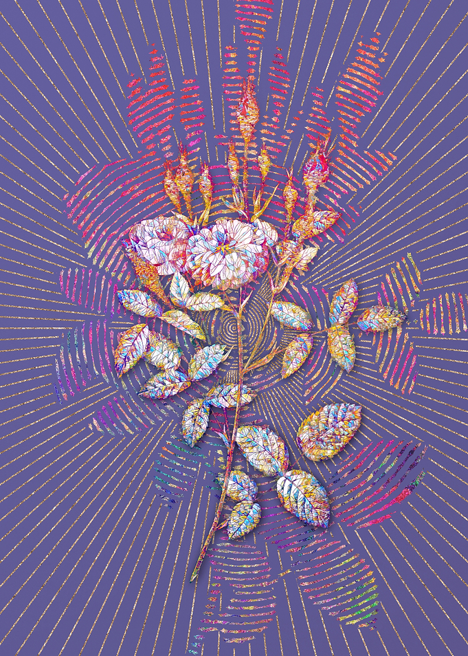 Mossy Pompon Rose Mosaic