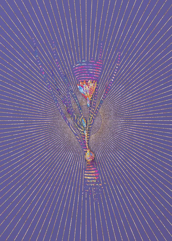 Ixia Filifolia Mosaic
