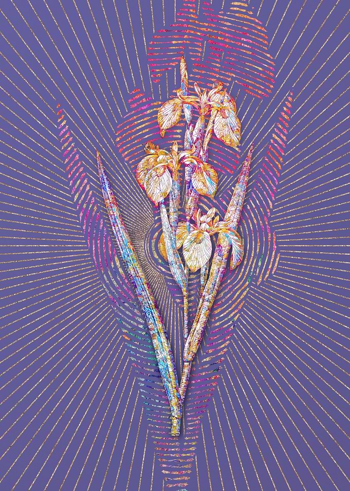 Irises Mosaic Botanical