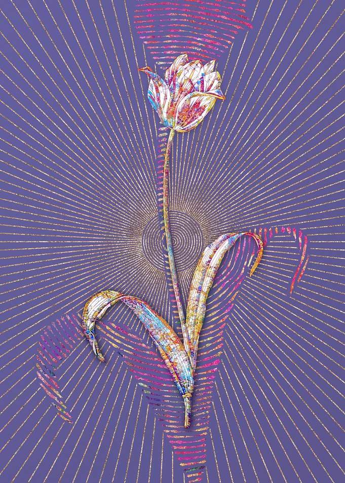 Didiers Tulip Mosaic 1