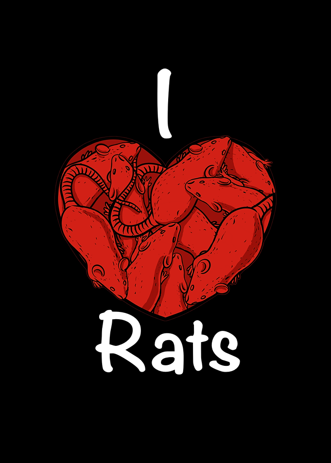 I love rats quote for rats