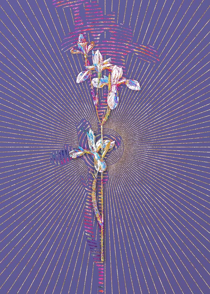 Siberian Iris 2 Mosaic