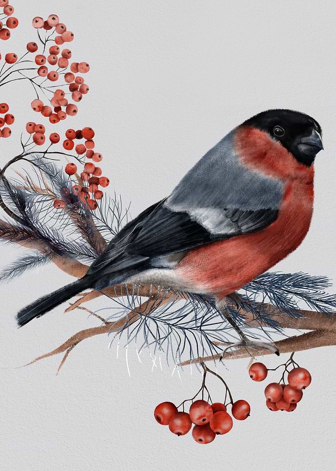 Winter Bird