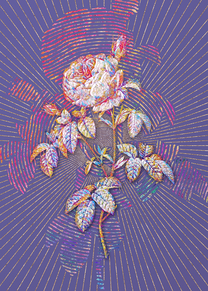 Provence Rose Bloom Mosaic