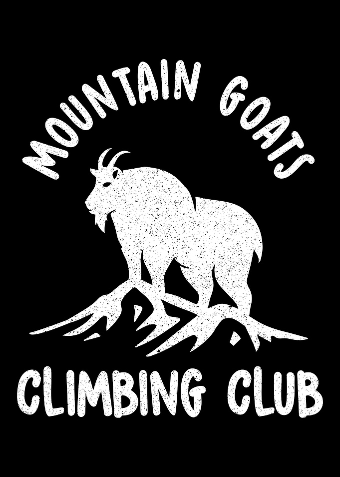 Rock Climbing Climber
