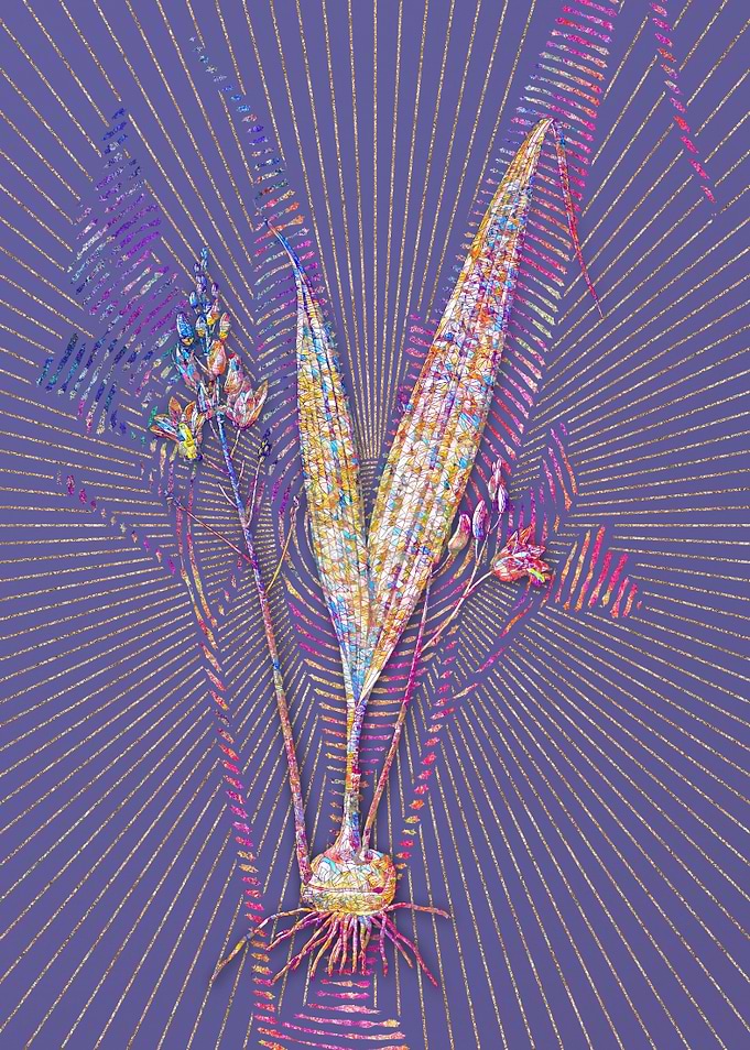 Pine Pink Mosaic Botanical