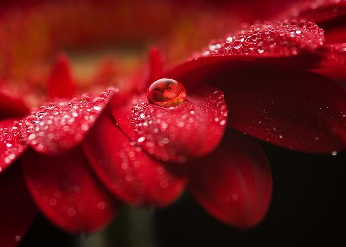 After rain