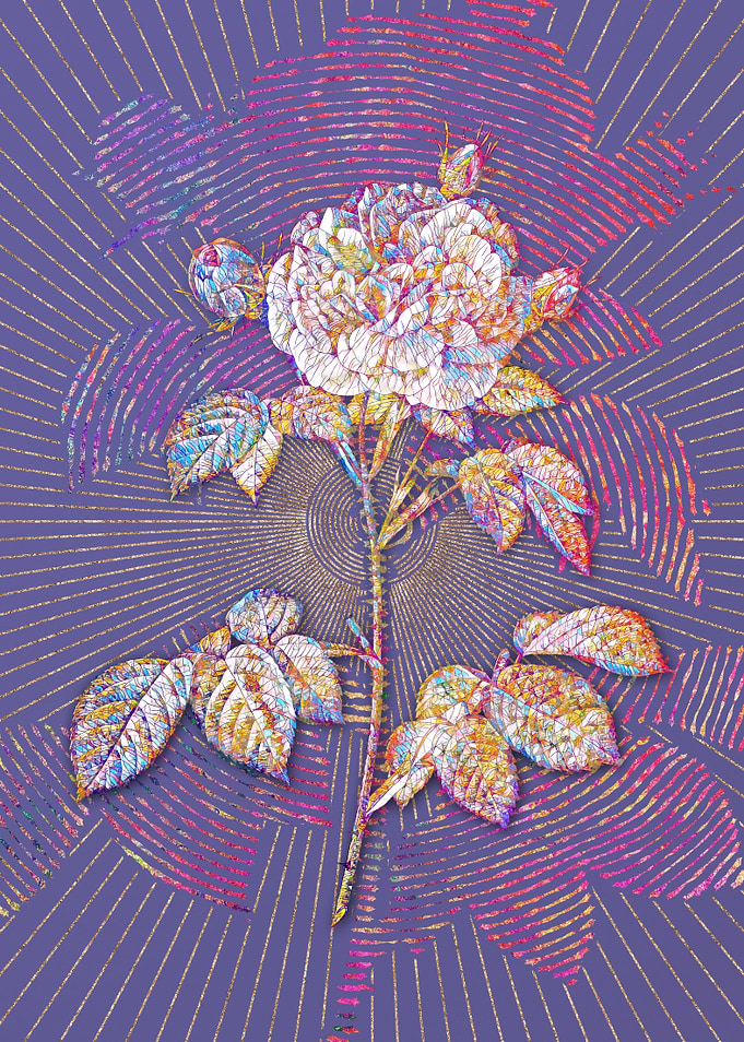 Rosa Alba Mosaic