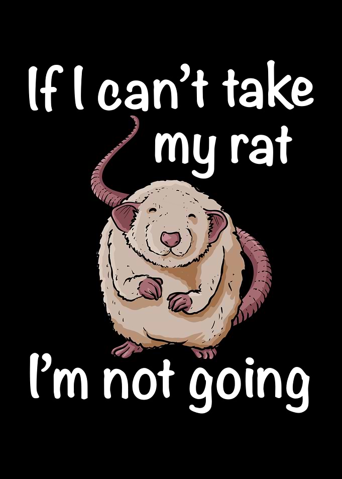 If I cant take my rat Im