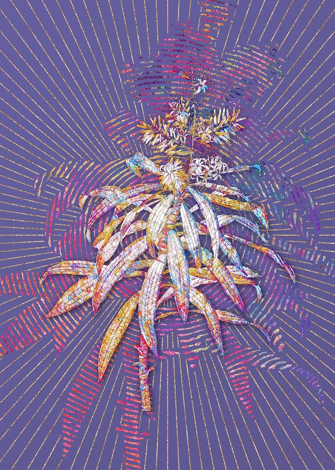 Pleomele Mosaic Botanical