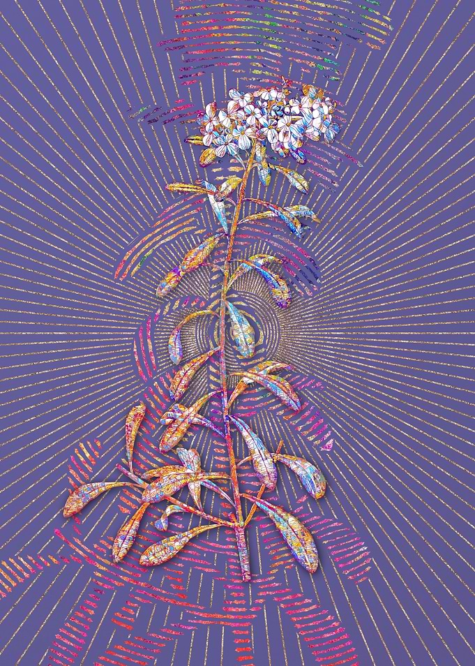Small White Flowers Mosaic