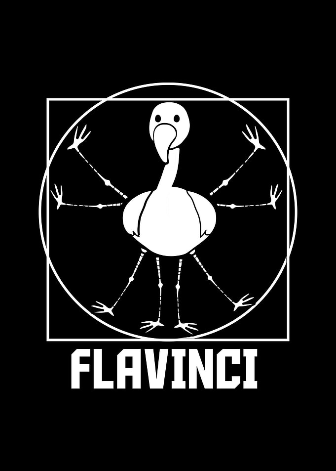 Da Vinci Flamingo