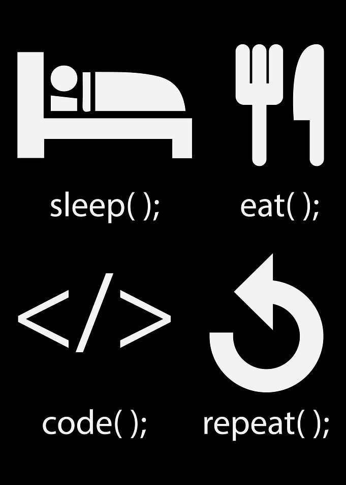 Programmer Software