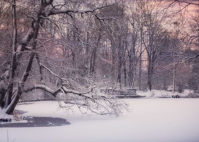 Winter lake in the park