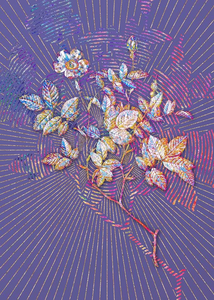 Rosebush Mosaic Flower