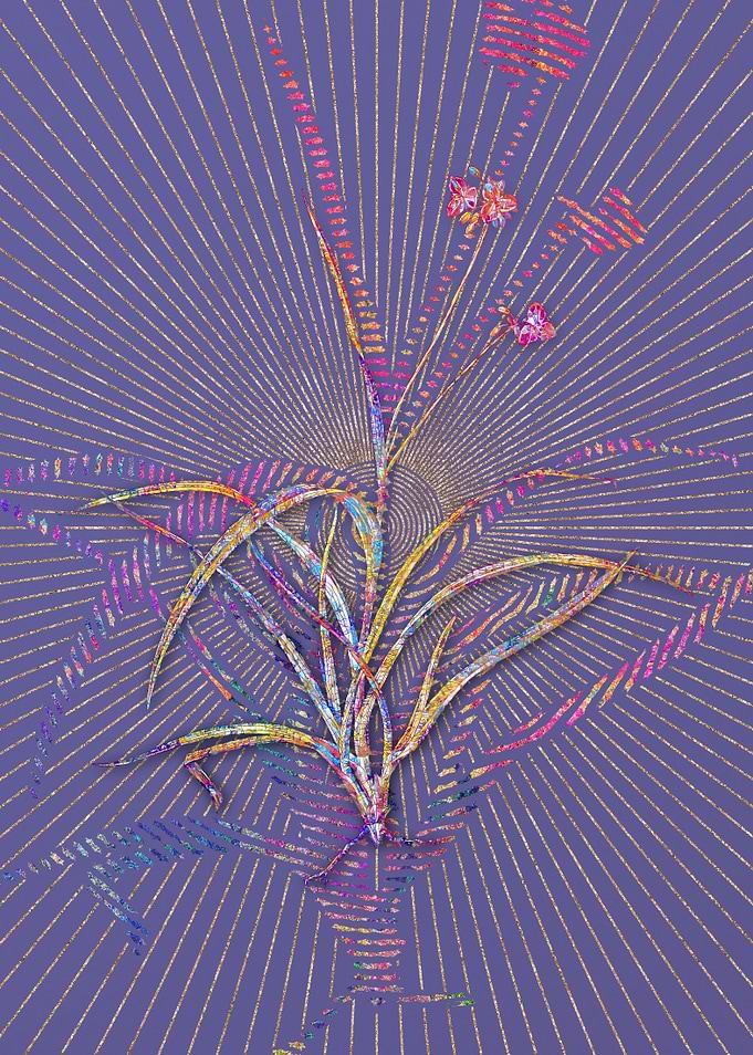 Spiderwort Mosaic Flower