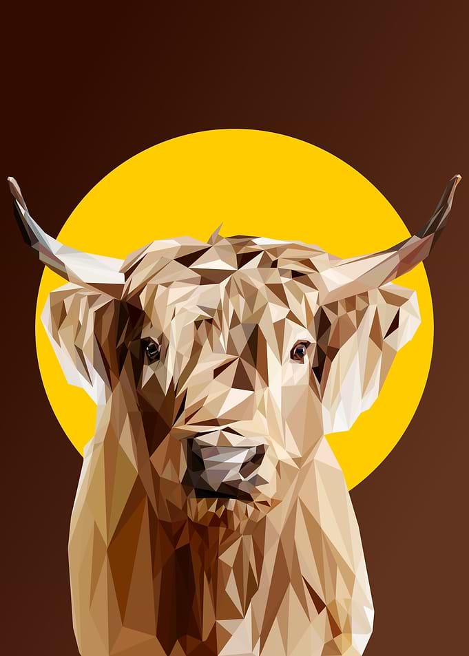 Buffalo
