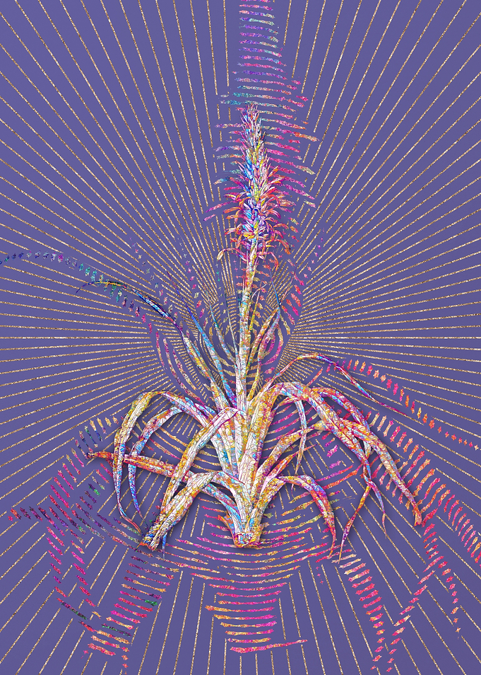 Pina Cortadora Mosaic