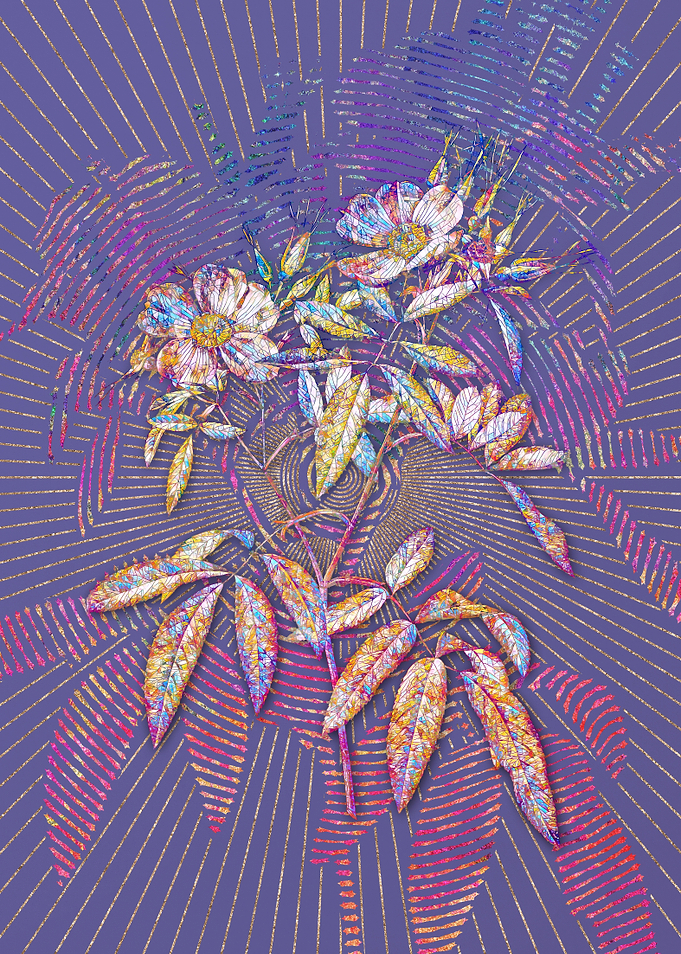 Pink Swamp Roses Mosaic