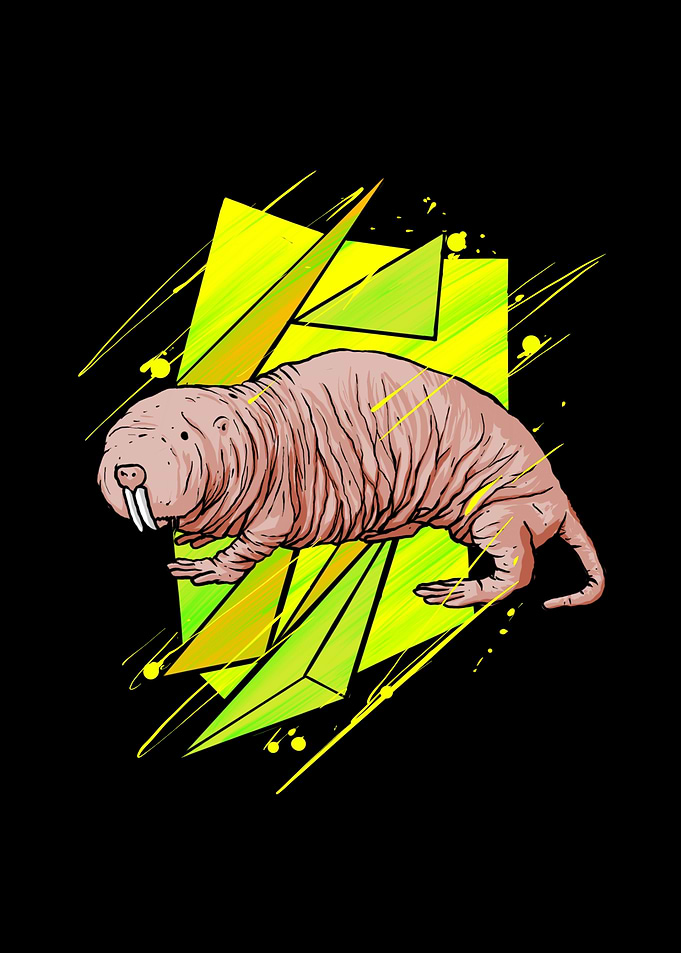 Naked mole design mouse