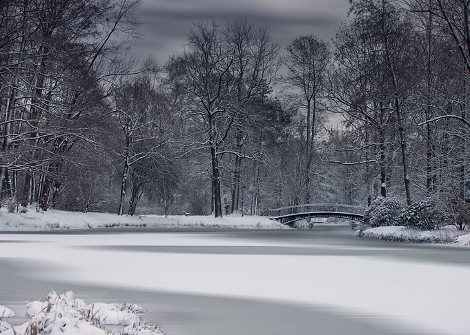 Winter lake, park, B&W