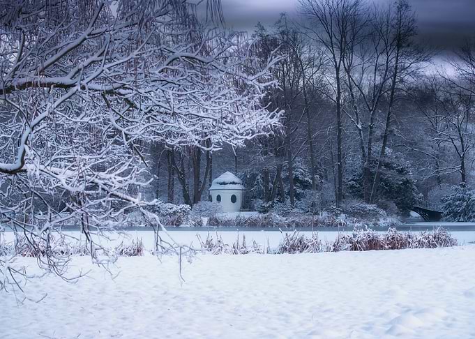 Winter morning in the park