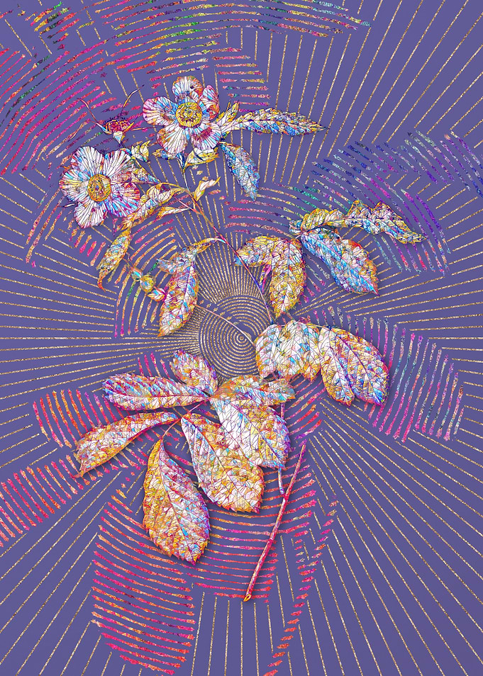 Pink Alpine Roses Mosaic