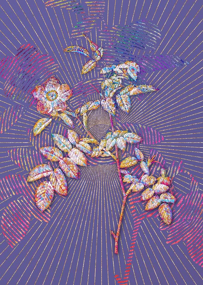 Pink Alpine Rose Mosaic