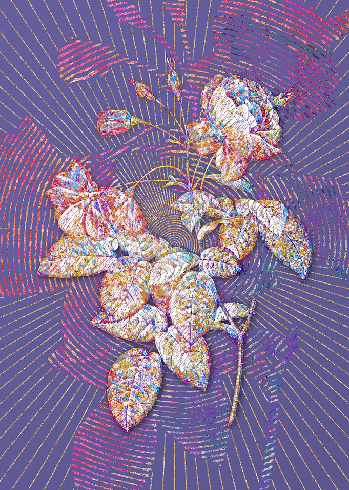 Pink Boursault Rose Mosaic