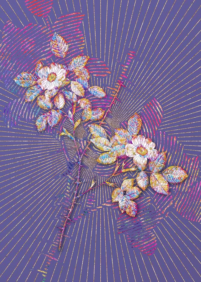 Spiny Rose of Dematra