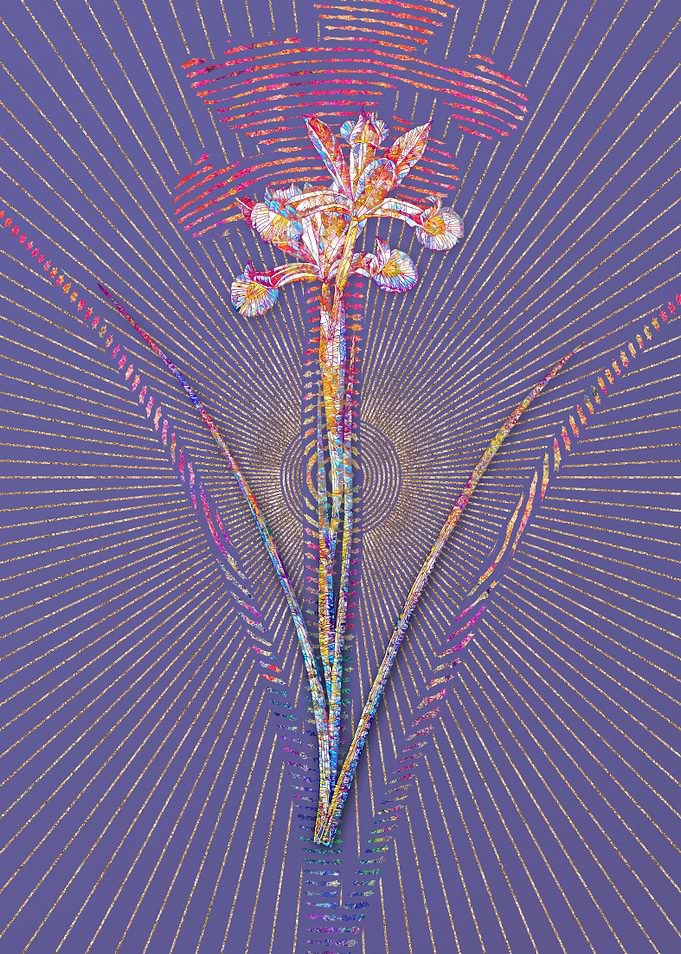 Spanish Iris Mosaic Flower
