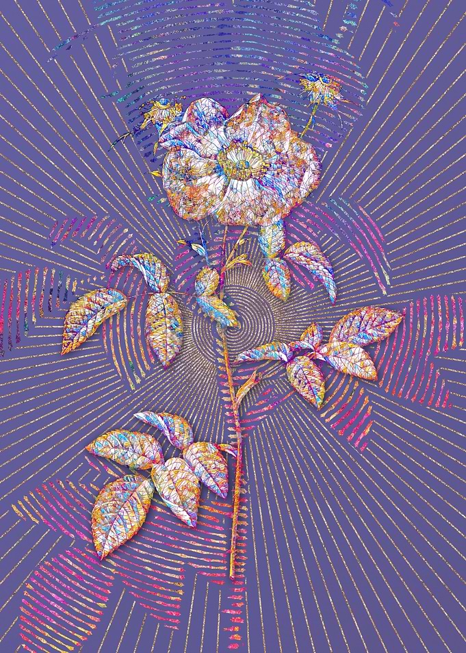 Stapelia Rose Bloom Mosaic