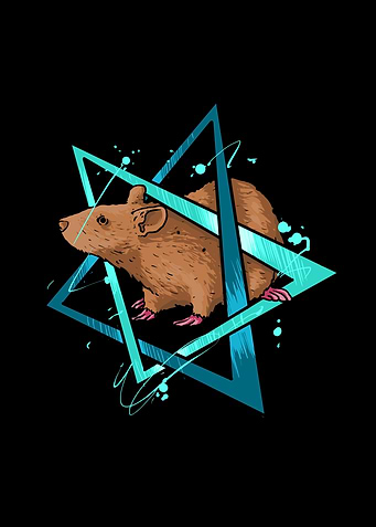 Burmese rat design for rat