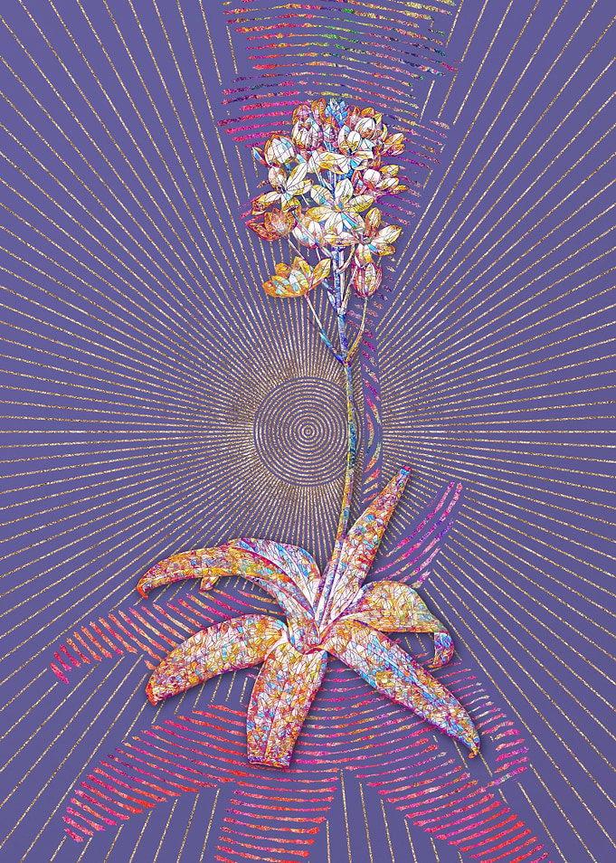 Sun Star Mosaic Botanical
