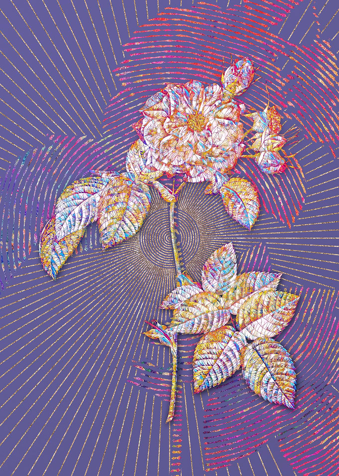 Pink Francfort Rose Mosaic