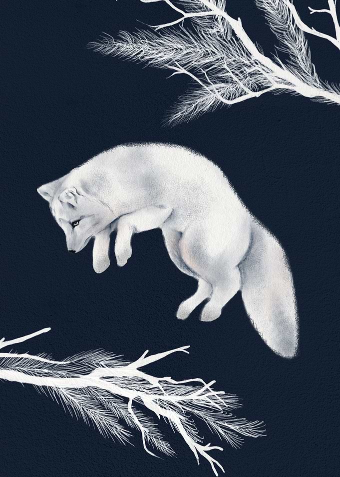 Arctic Fox