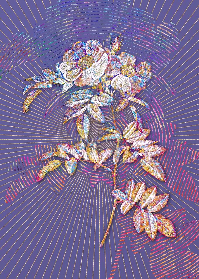 Rosa Lucida Mosaic Floral
