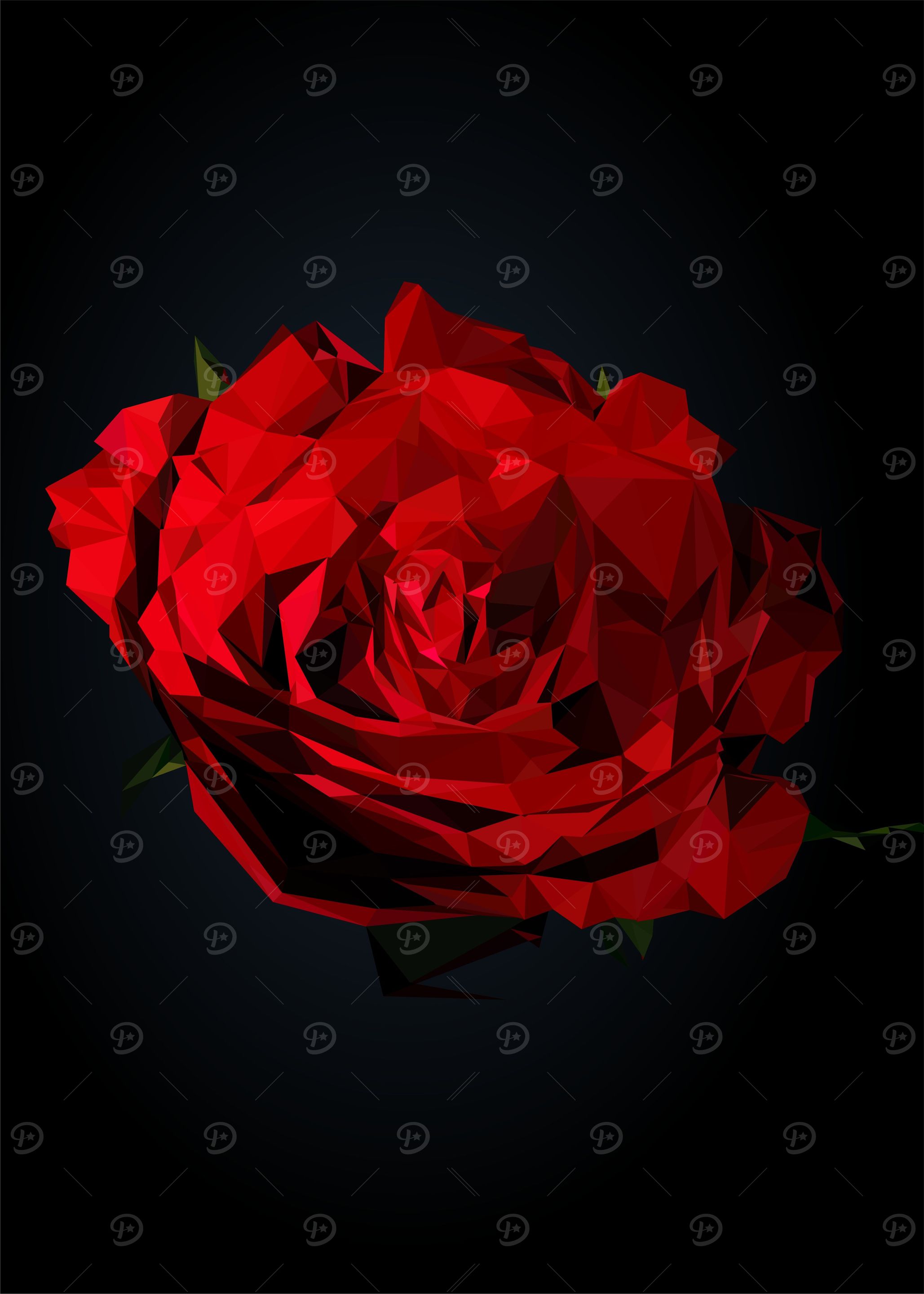 rose flower