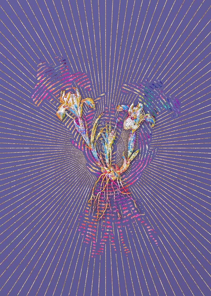Sand Iris Mosaic Botanical